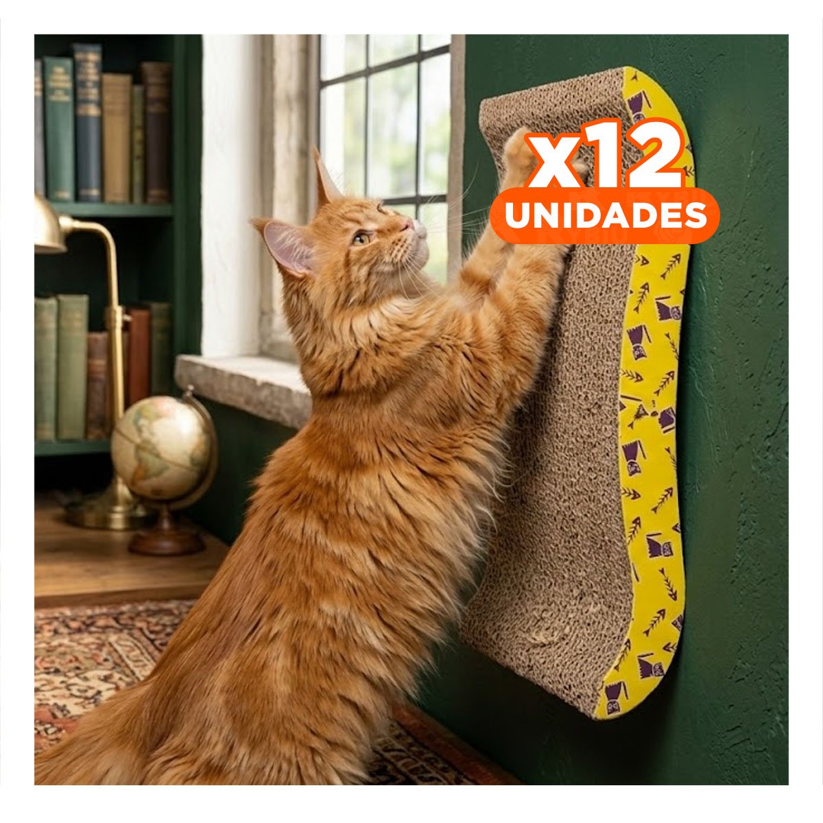 PACK12 PLATAFORMACURVA PARA GATOS EN FORMA DE C CON BASE FIRME - 1