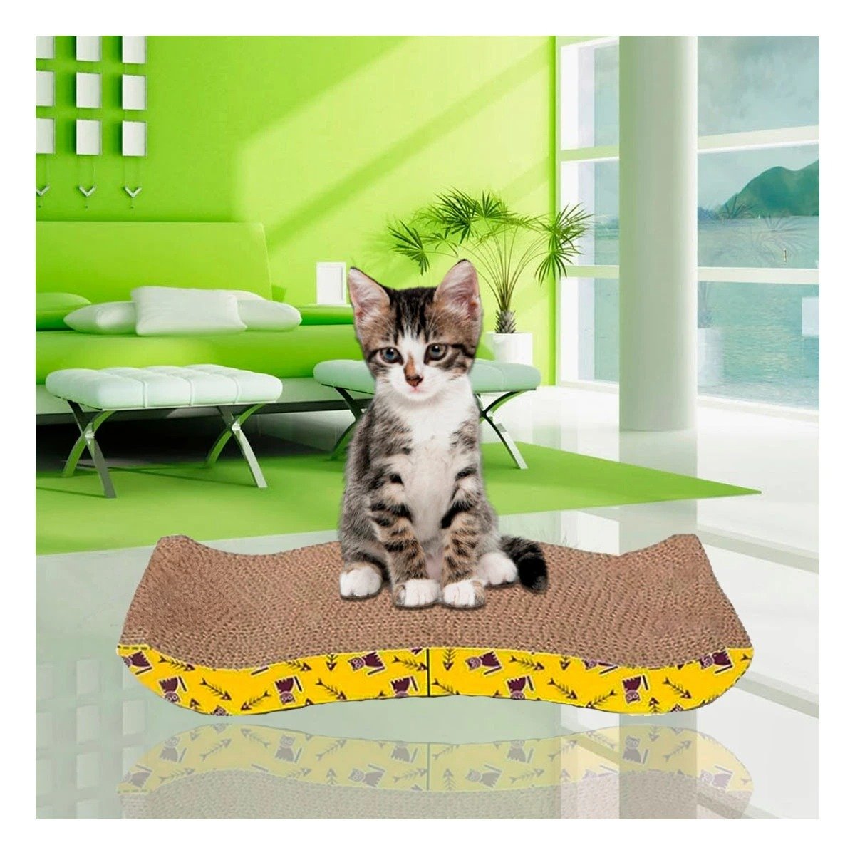 PACK12 PLATAFORMACURVA PARA GATOS EN FORMA DE C CON BASE FIRME - 5