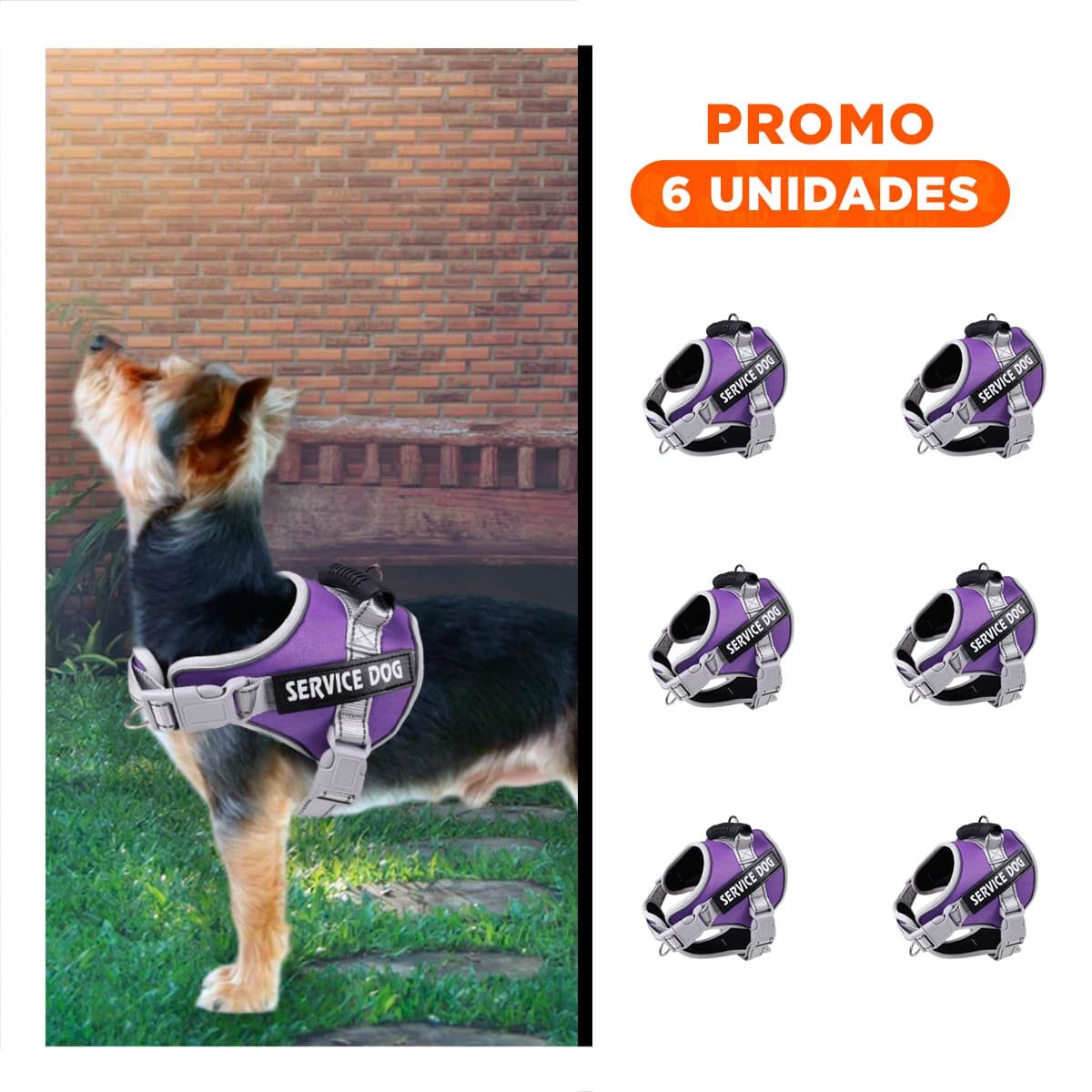 PACK6 HARNESS RESISTENTE SERVICE DOG TALLA XS MORADO CON ASA - 1