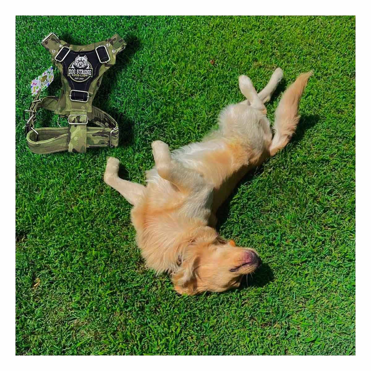 PETO PARA PERRO DOG STRONG VERDE OSCURO TALLA M FIRME Y RESISTENTE - 2