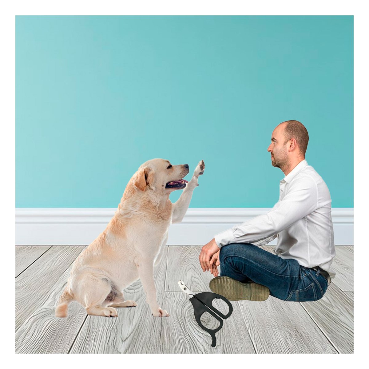 PINZA SEGURA PARA GATOS Y CACHORROS NEGRO Y+PAPEL REGALO - 3