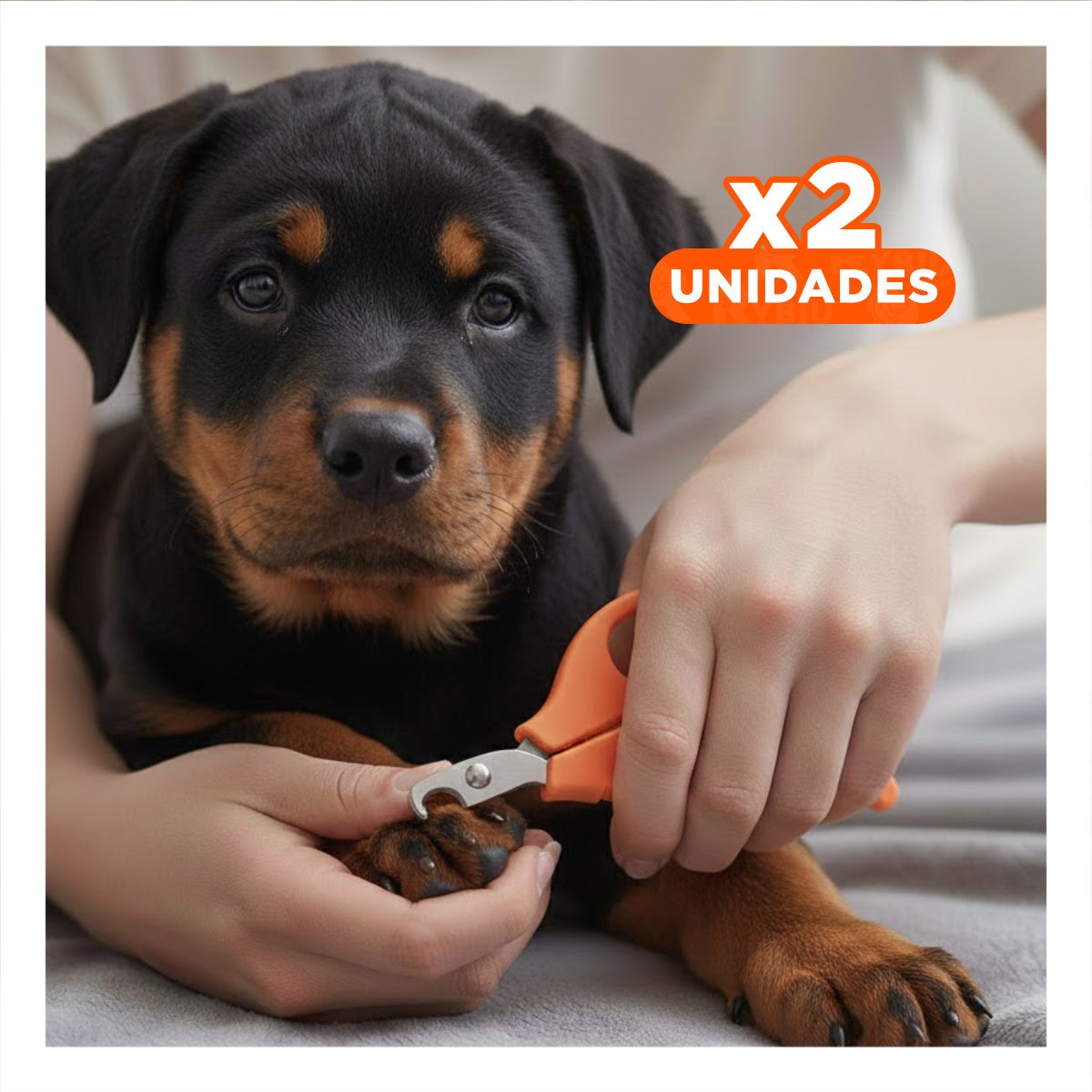 PACK2 TIJERA COMPACTA PARA GATOS Y CACHORROS NARANJA Y+REGALO STICKER - 1