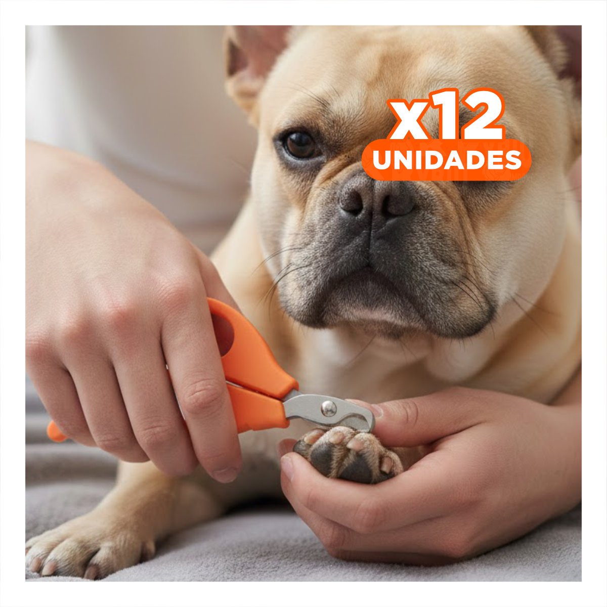 PACK12 CORTAUÑAS ERGONOMICO PARA GATOS Y CACHORROS NARANJA - 1