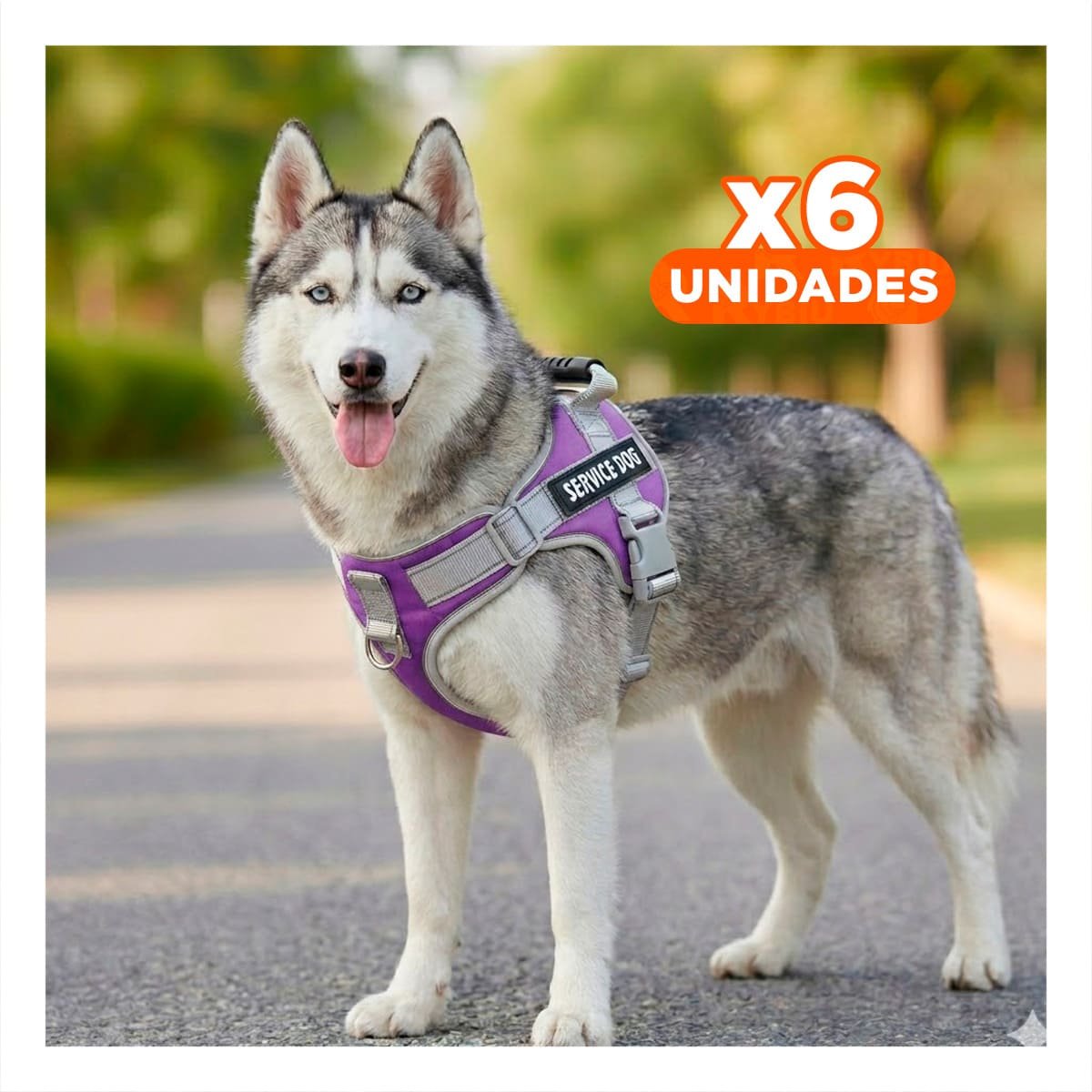 PACK6 PECHERA COMODA SERVICE DOG TALLA XL MORADO CON ASA Y+REGALO STICKER - 1
