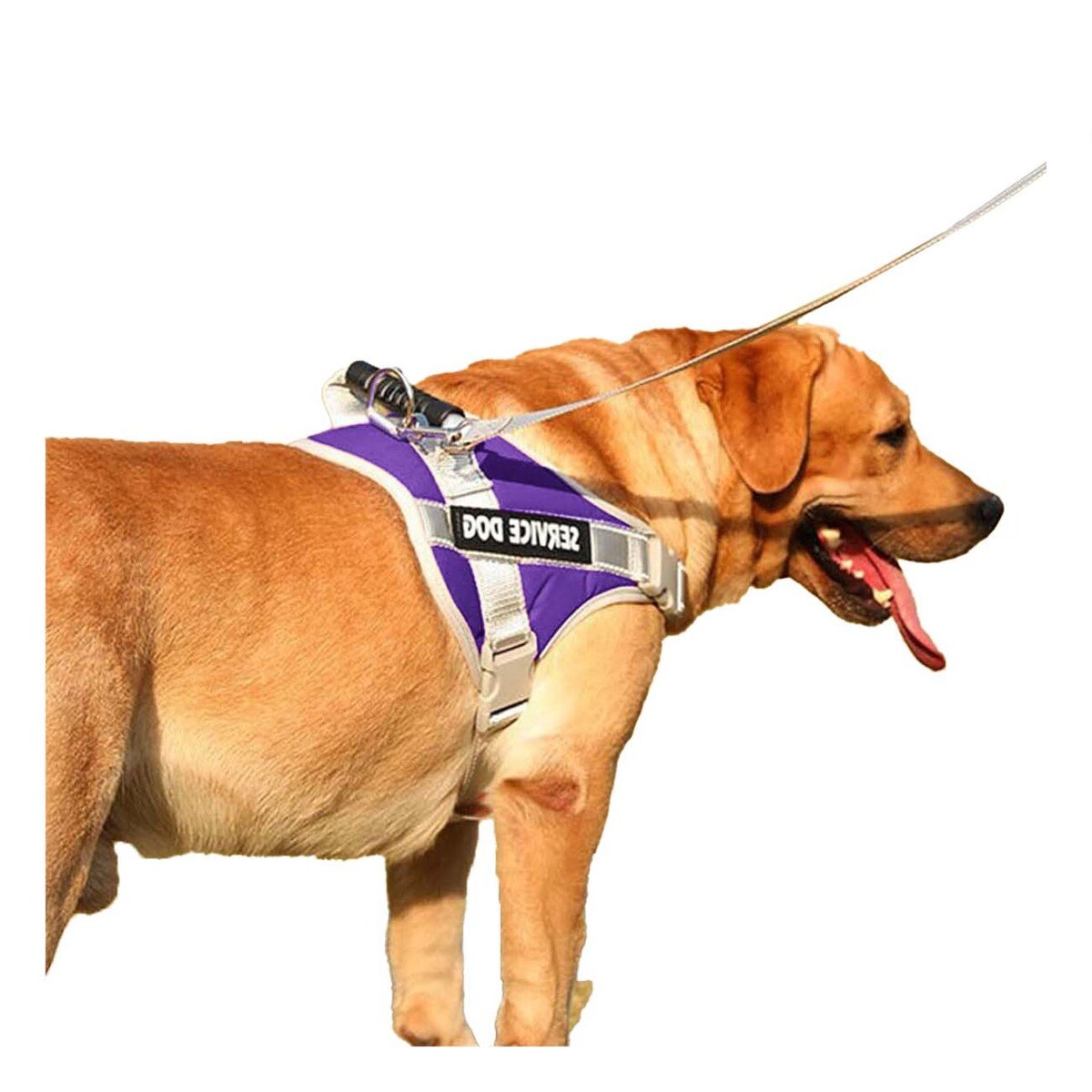 PACK6 PECHERA COMODA SERVICE DOG TALLA XL MORADO CON ASA Y+REGALO STICKER - 2