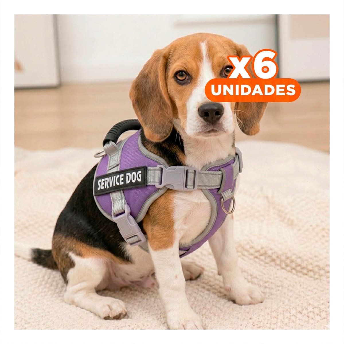 PACK6 PECHERA COMODA SERVICE DOG TALLA XS MORADO CON ASA Y+REGALO STICKER - 1