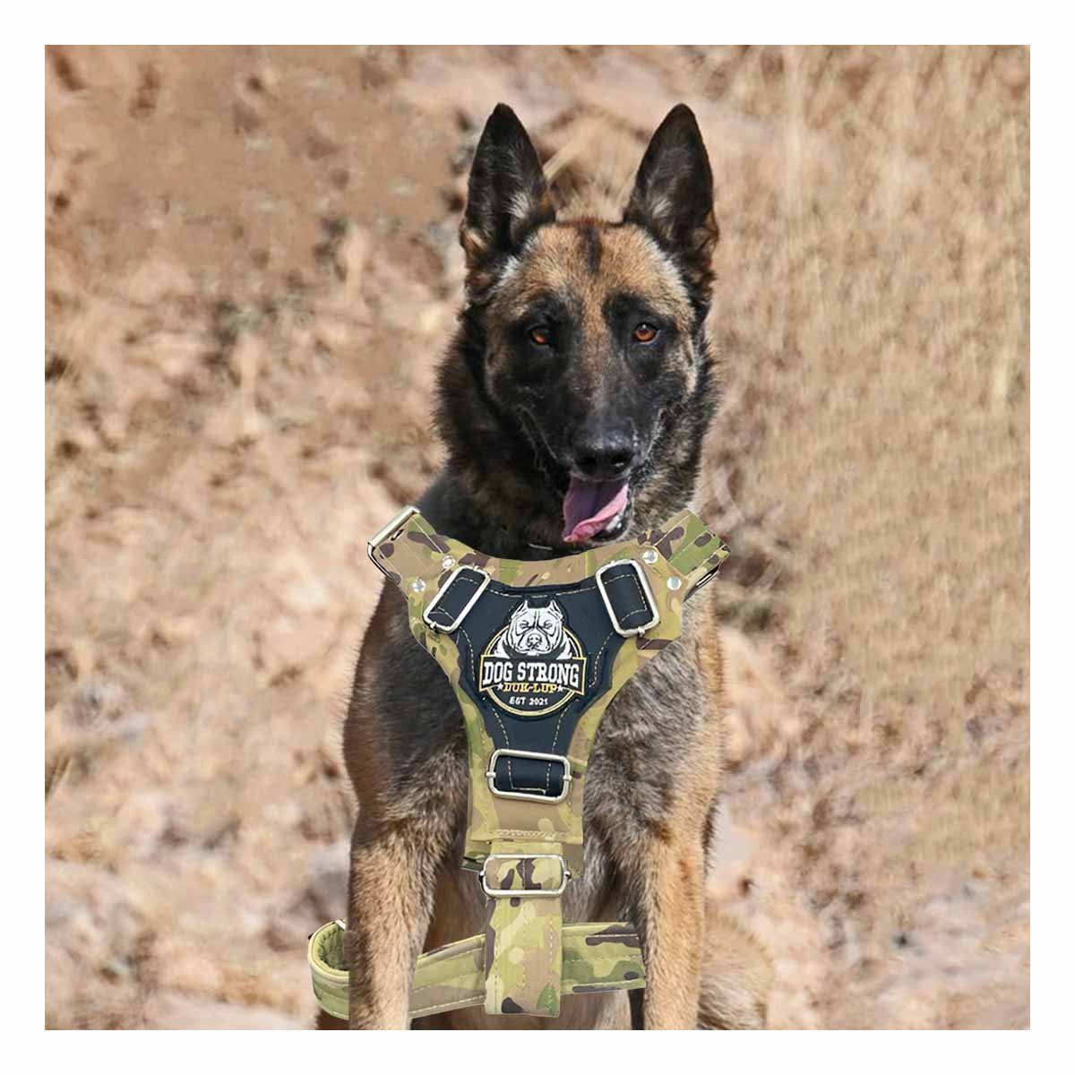 PETO PARA PERRO DOG STRONG VERDE CLARO TALLA L FIRME Y RESISTENTE Y+LIGAS REGALO - 2