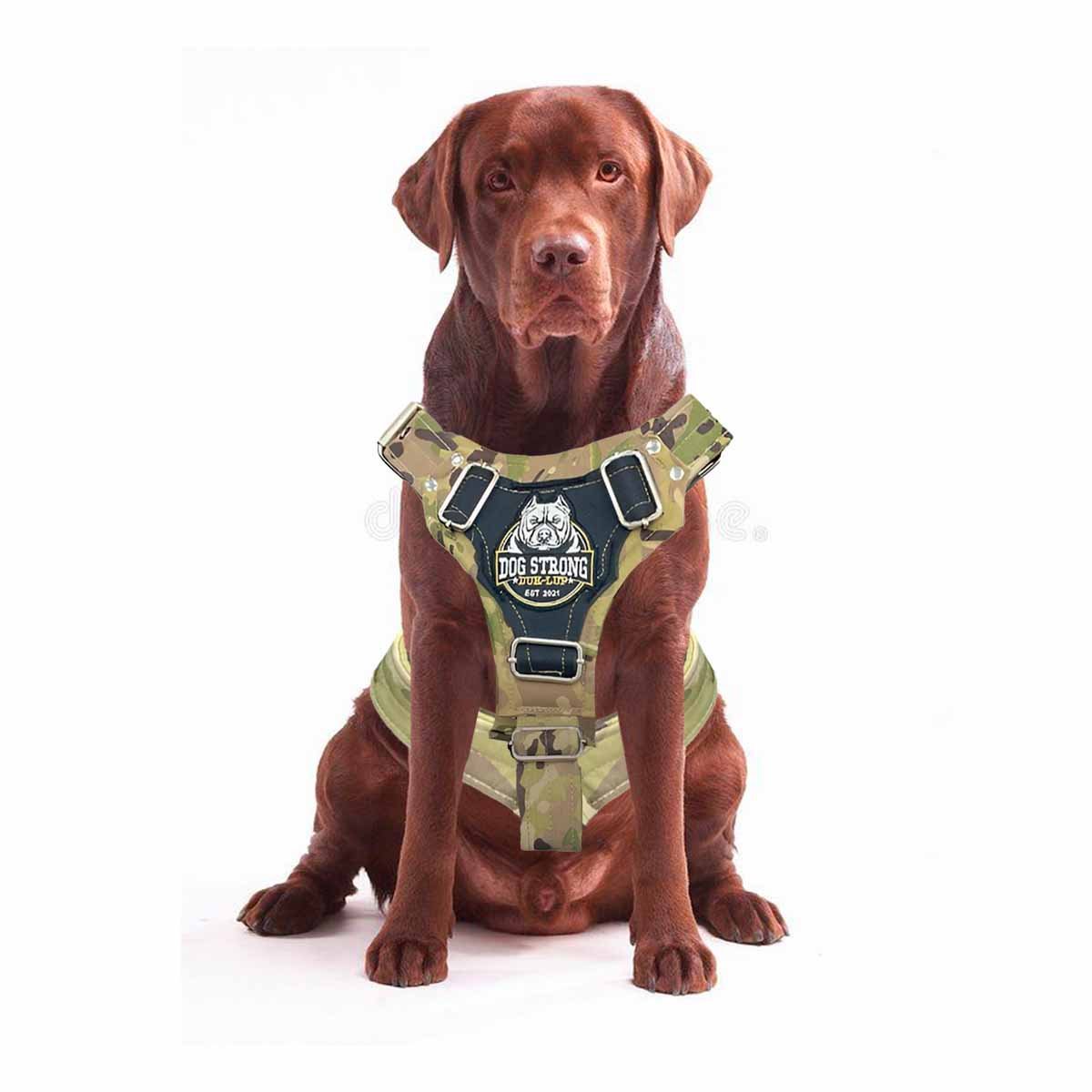 PETO PARA PERRO DOG STRONG VERDE CLARO TALLA L FIRME Y RESISTENTE Y+LIGAS REGALO - 3
