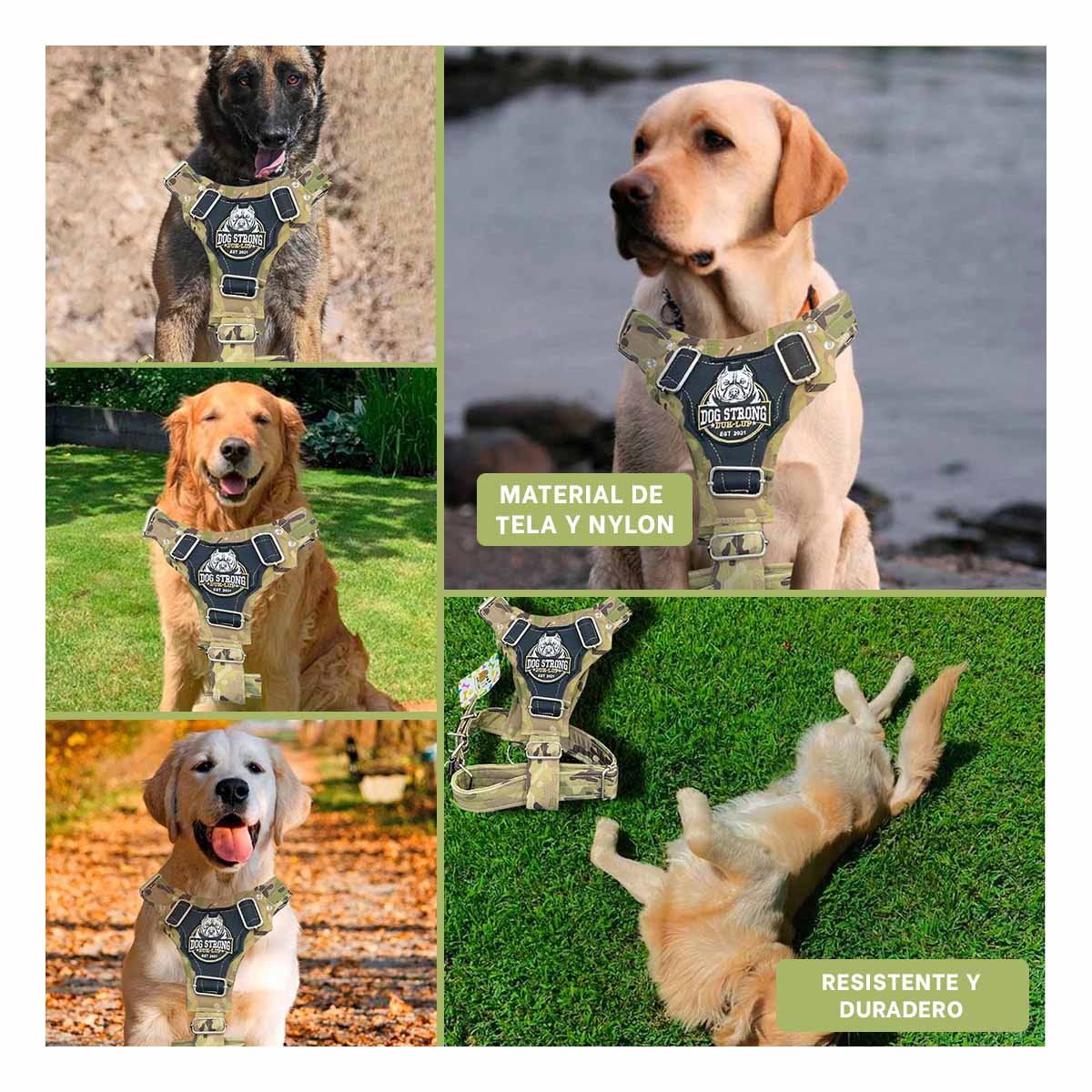 PETO PARA PERRO DOG STRONG VERDE CLARO TALLA L FIRME Y RESISTENTE Y+LIGAS REGALO - 5