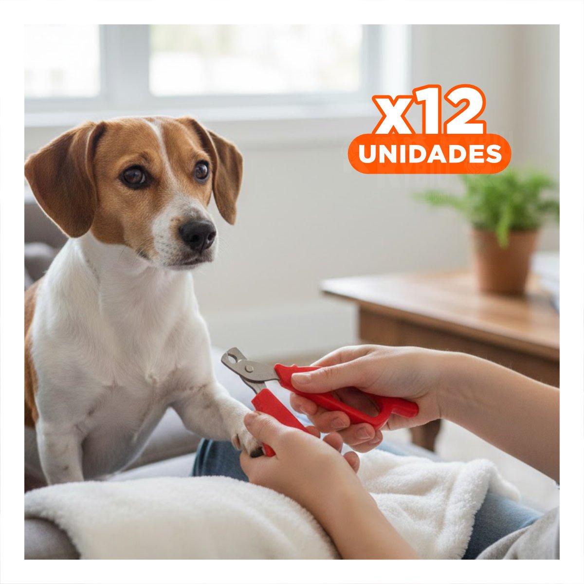 PACK12 CORTAUÑAS ERGONOMICO PARA GATOS Y CACHORROS ROJO - 1