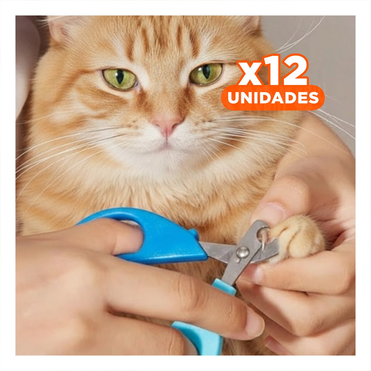 PACK12 CORTAUÑAS ERGONOMICO PARA GATOS Y CACHORROS CELESTE - 1
