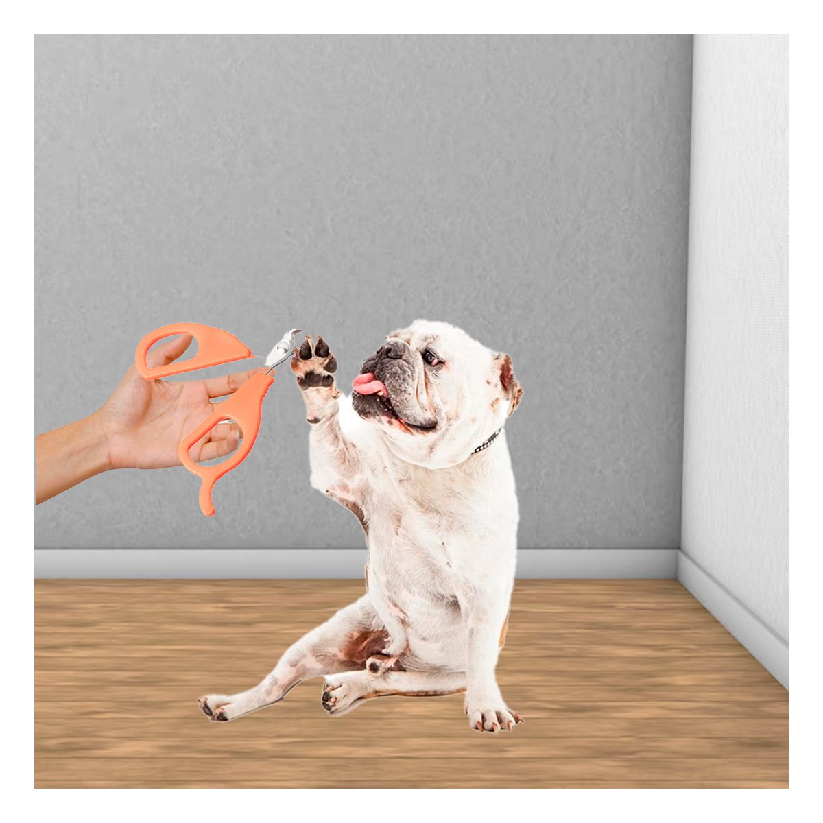 PACK2 PINZA COMPACTA PARA GATOS Y CACHORROS NARANJA Y+PAPEL REGALO - 5