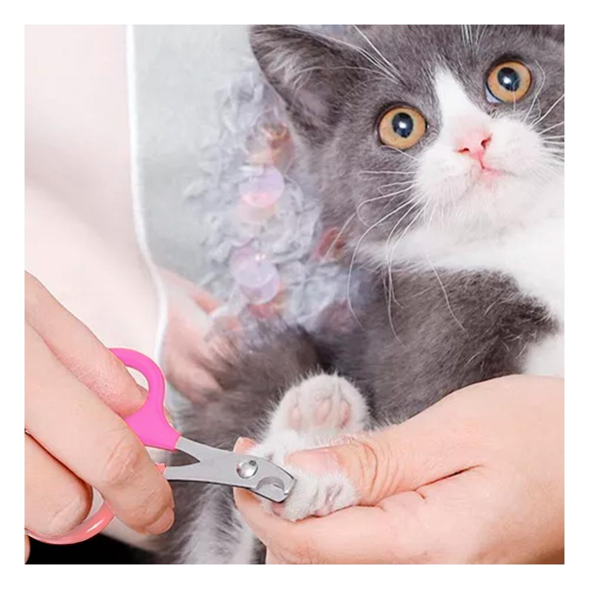 CORTA UÑA COMPACTO PARA GATOS Y CACHORROS ROSADO Y+LIGAS REGALO - 1