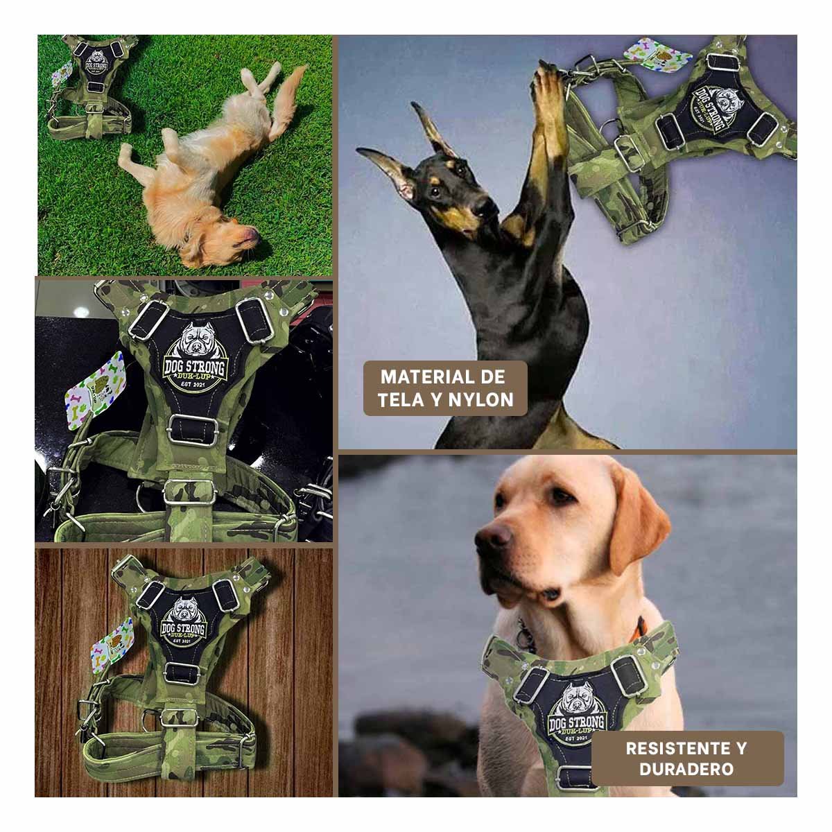 PACK2 PRENDA PARA PERRO DOG STRONG VERDE OSCURO TALLA L COMODA Y DURABLE Y+PAPEL REGALO - 3