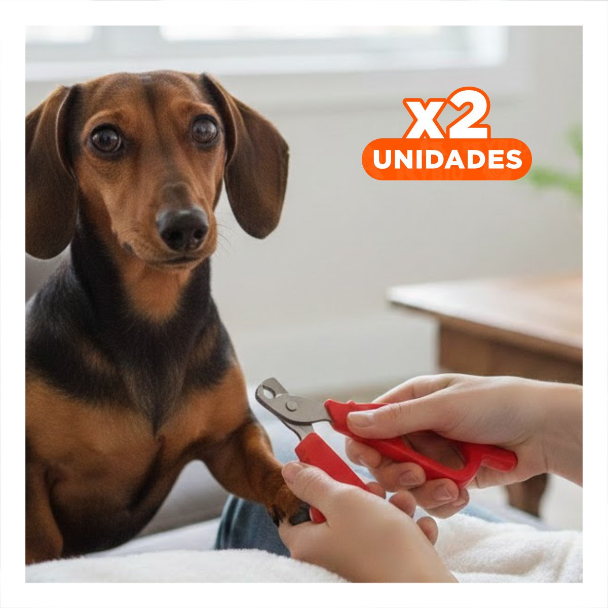 PACK2 TIJERA COMPACTA PARA GATOS Y CACHORROS ROJO Y+REGALO STICKER - 1