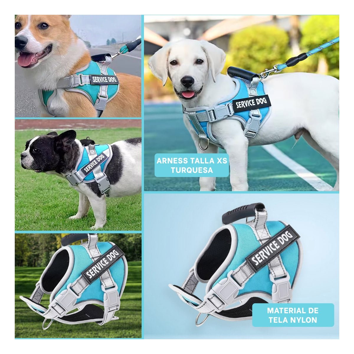 ARNES AJUSTABLE SERVICE DOG TALLA XS TURQUEZA CON ASA Y+POST IT - 1