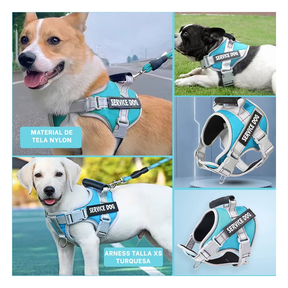 ARNES AJUSTABLE SERVICE DOG TALLA XS TURQUEZA CON ASA Y+POST IT - 5