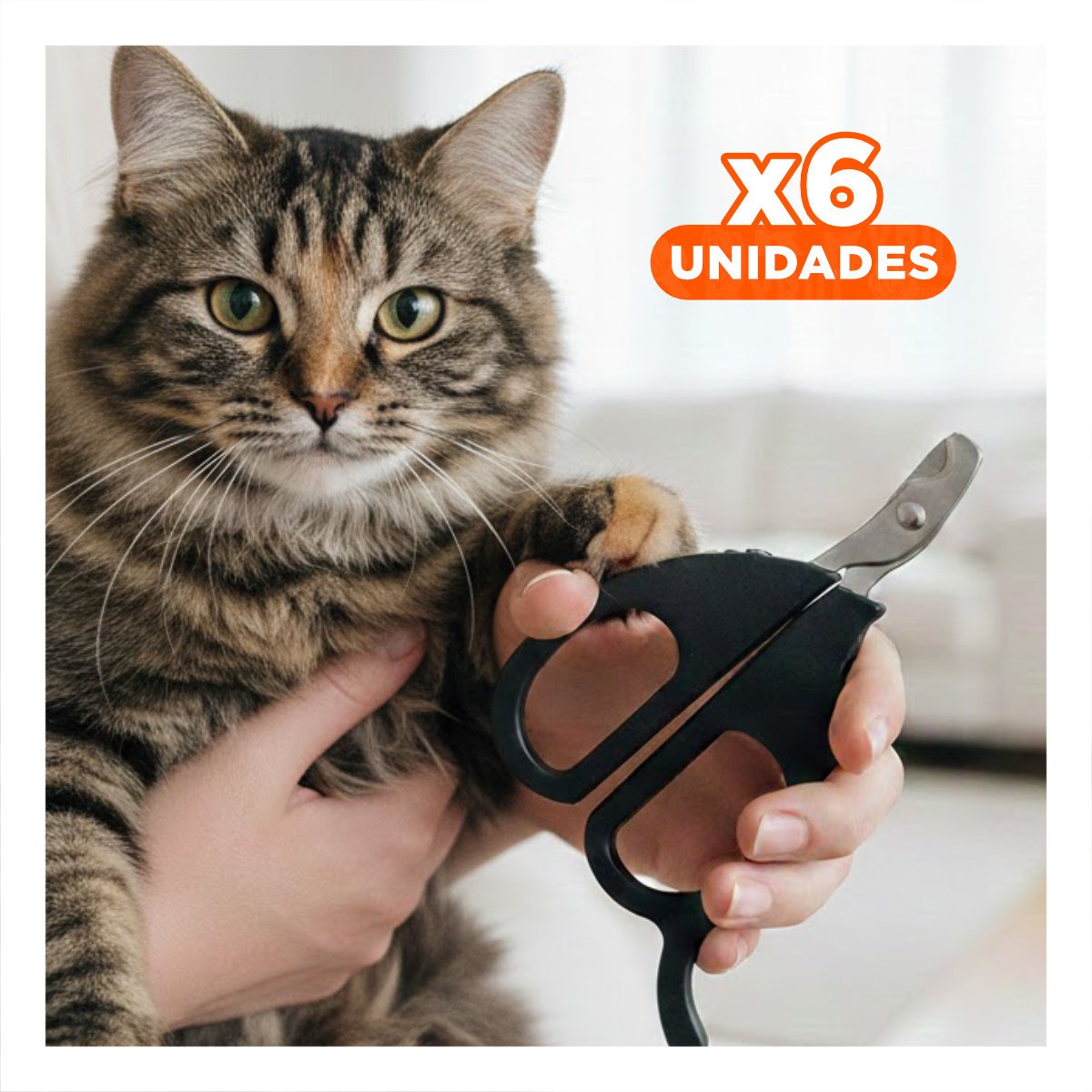 PACK6 CORTA UÑA ERGONOMICO PARA GATOS Y CACHORROS NEGRO Y+REGALO STICKER - 1