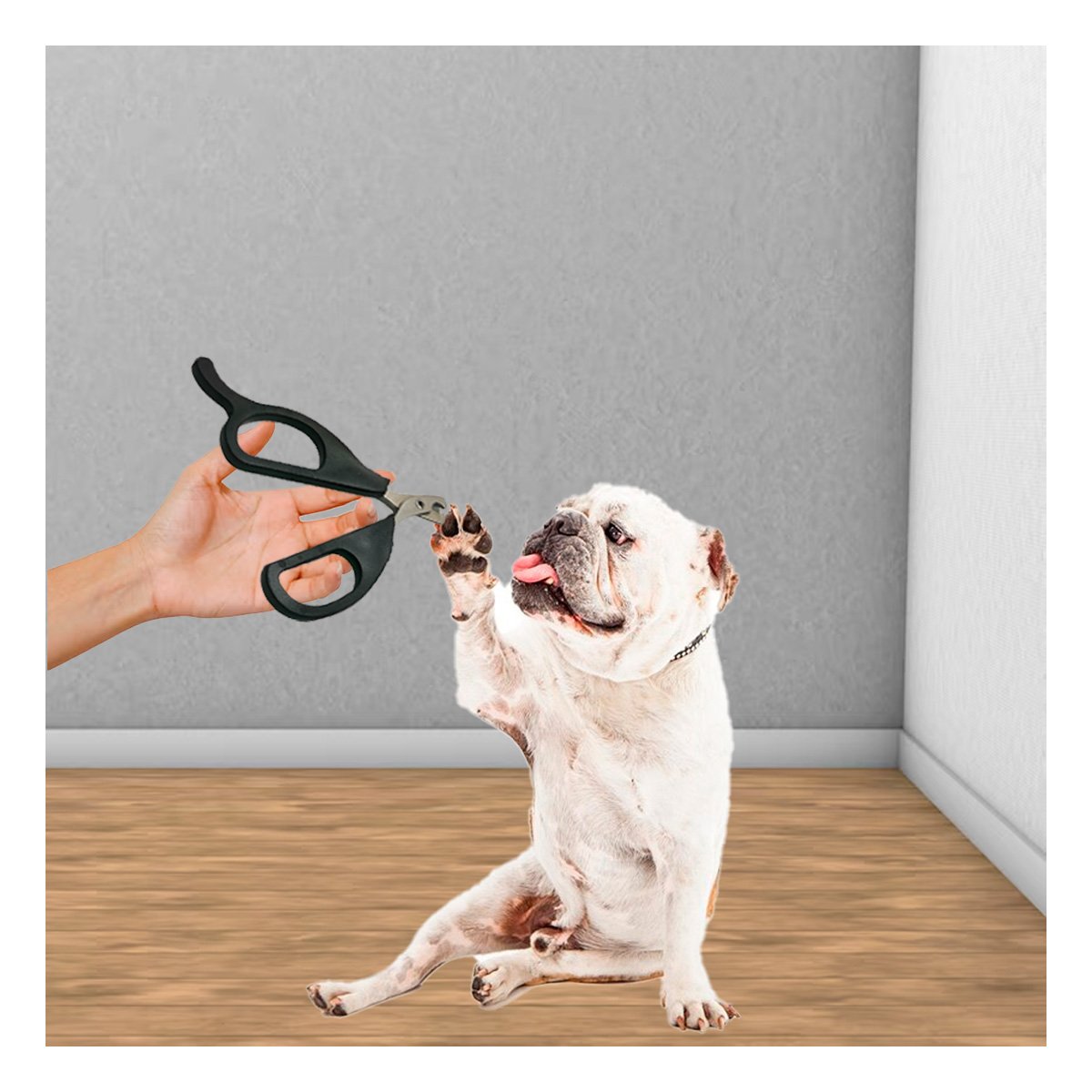 PACK6 CORTA UÑA ERGONOMICO PARA GATOS Y CACHORROS NEGRO Y+REGALO STICKER - 5