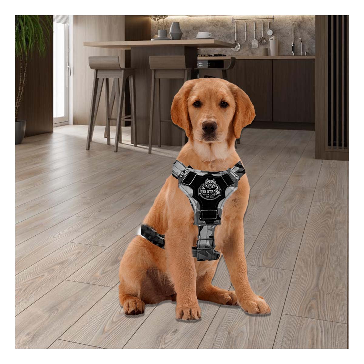 PRENDA PARA PERRO DOG STRONG NEGRO TALLA S COMODA Y DURABLE Y+LIGAS REGALO - 2