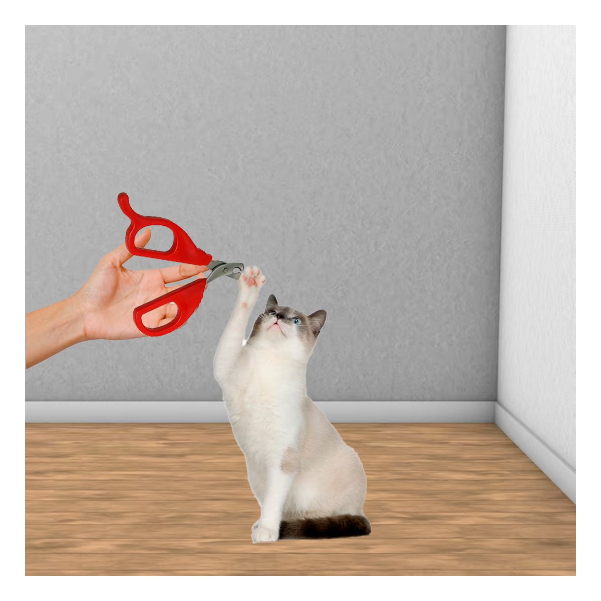 PACK2 PINZA COMPACTA PARA GATOS Y CACHORROS ROJO Y+PAPEL REGALO - 5