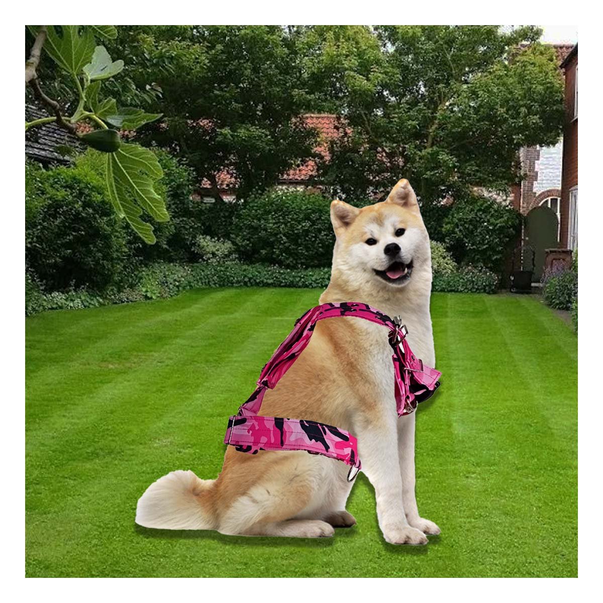 PACK2 SOPORTE PARA PERRO DOG STRONG ROSADO TALLA S SEGURO Y COMODO - 5