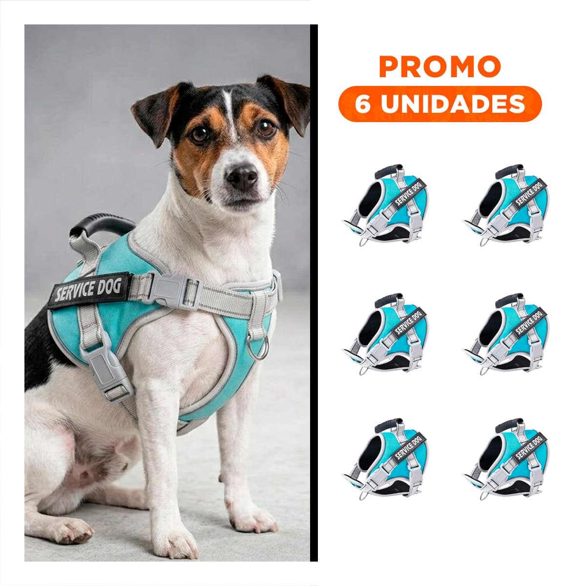 PACK6 HARNESS RESISTENTE SERVICE DOG TALLA XS TURQUEZA CON ASA - 1