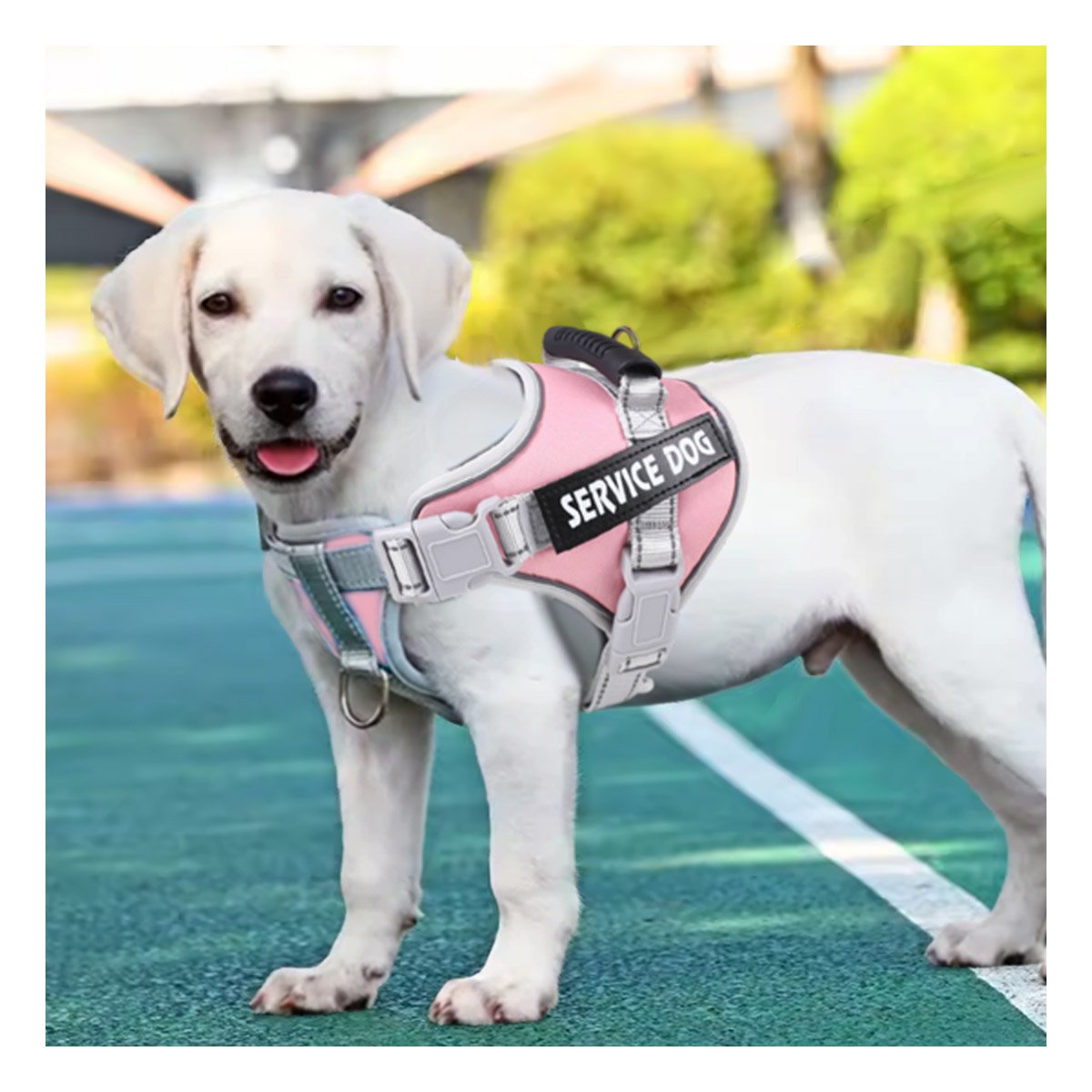 ARNES AJUSTABLE SERVICE DOG TALLA XS ROSADO CLARO CON ASA Y+POST IT - 3