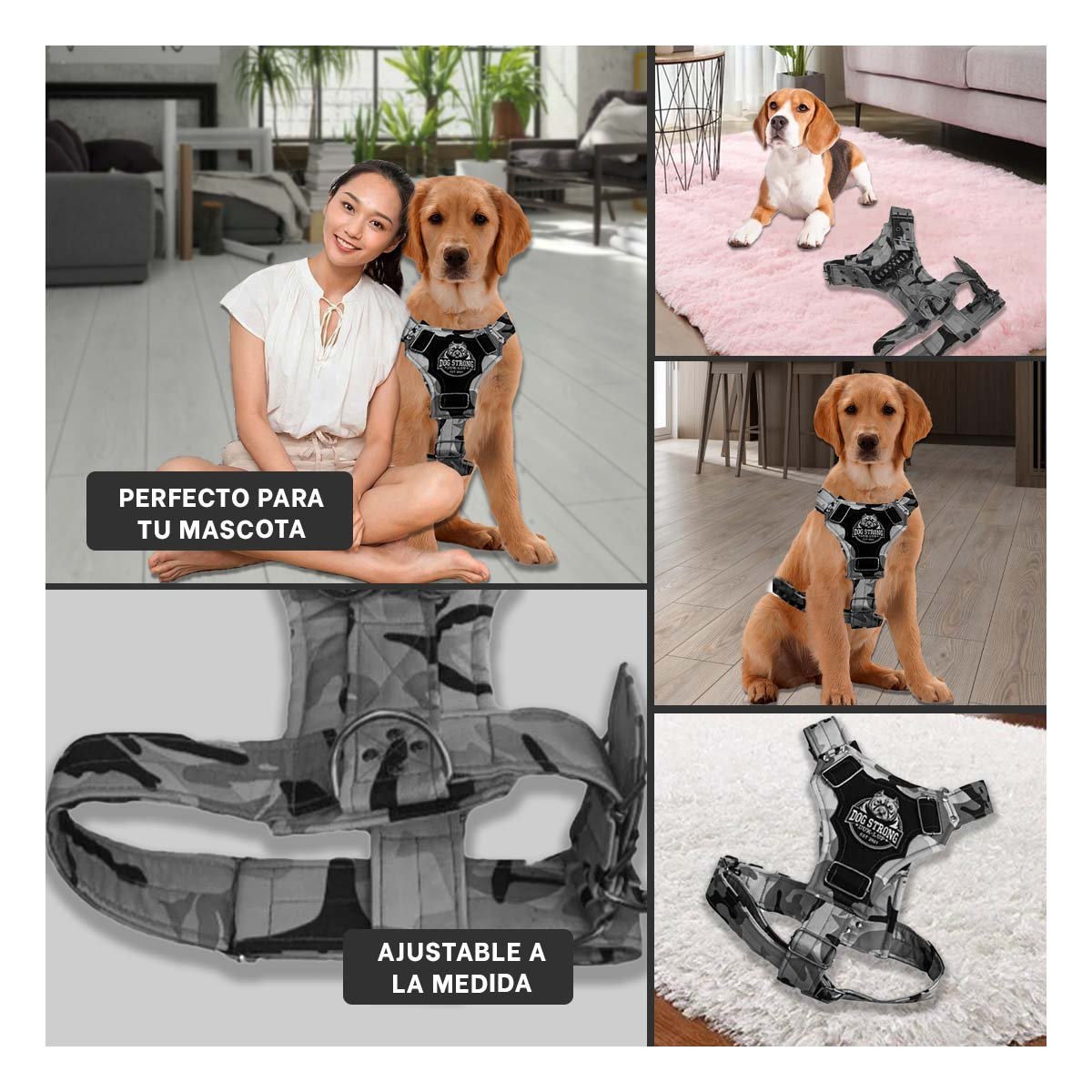PACK2 CHALECO CANINO DOG STRONG NEGRO TALLA S CON DISENO MODERNO Y+PAPEL REGALO - 3