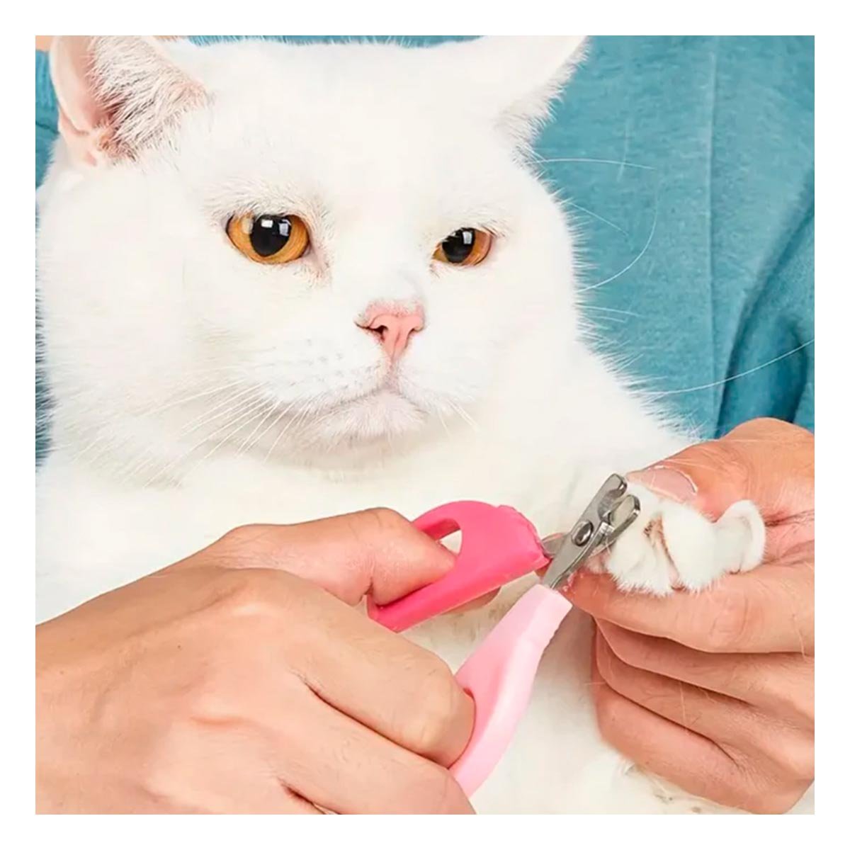 PACK12 PINZA ERGONOMICA PARA GATOS Y CACHORROS ROSADO Y+REGALO STICKER - 3