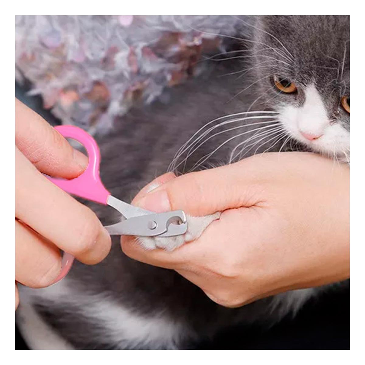 PACK12 PINZA ERGONOMICA PARA GATOS Y CACHORROS ROSADO Y+REGALO STICKER - 5