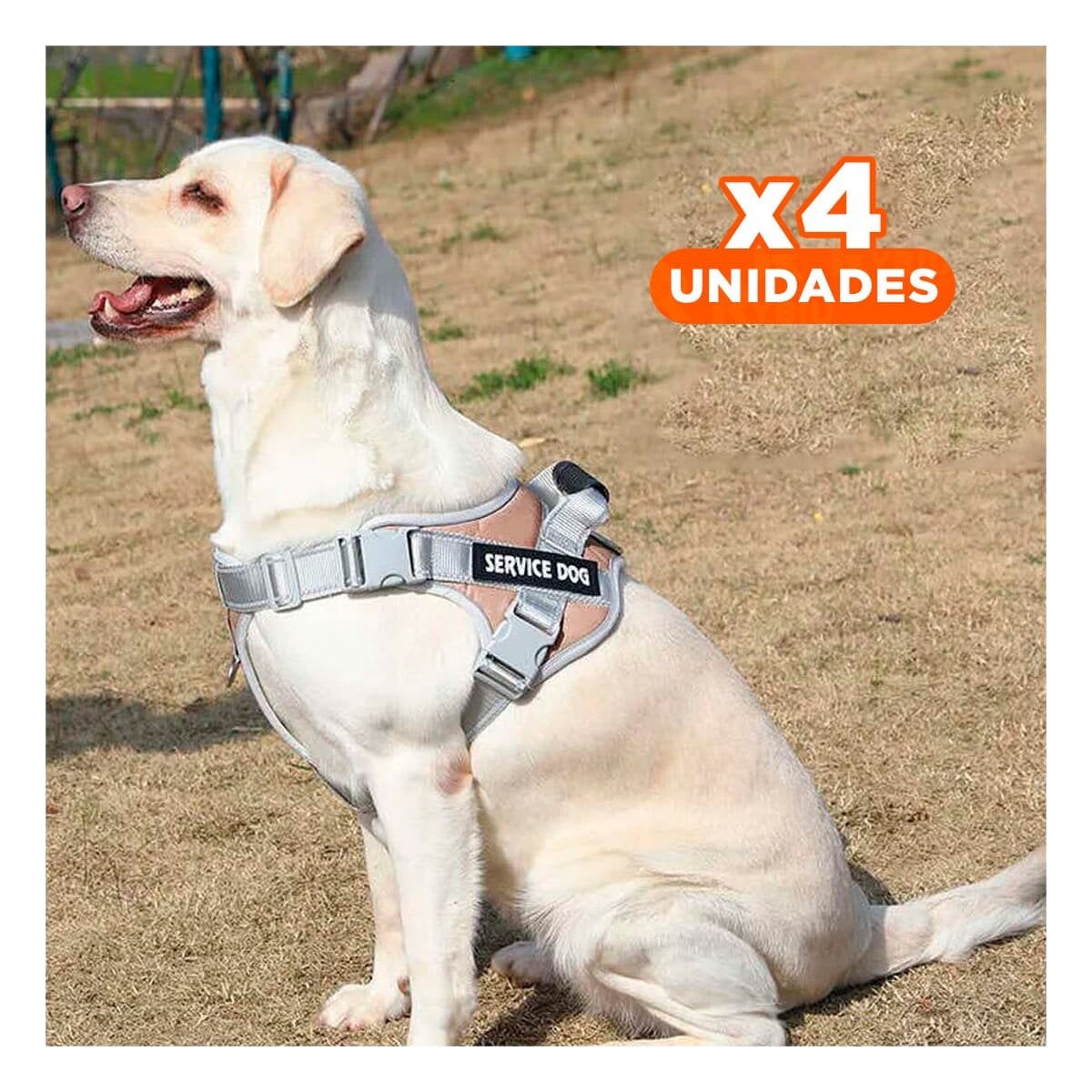 PACK4 PECHERA RESISTENTE SERVICE DOG TALLA XS MARRON CON ASA - 1