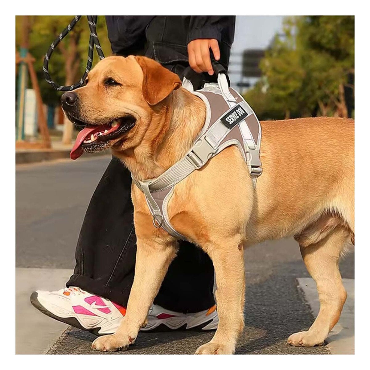 PACK4 PECHERA RESISTENTE SERVICE DOG TALLA XS MARRON CON ASA - 2