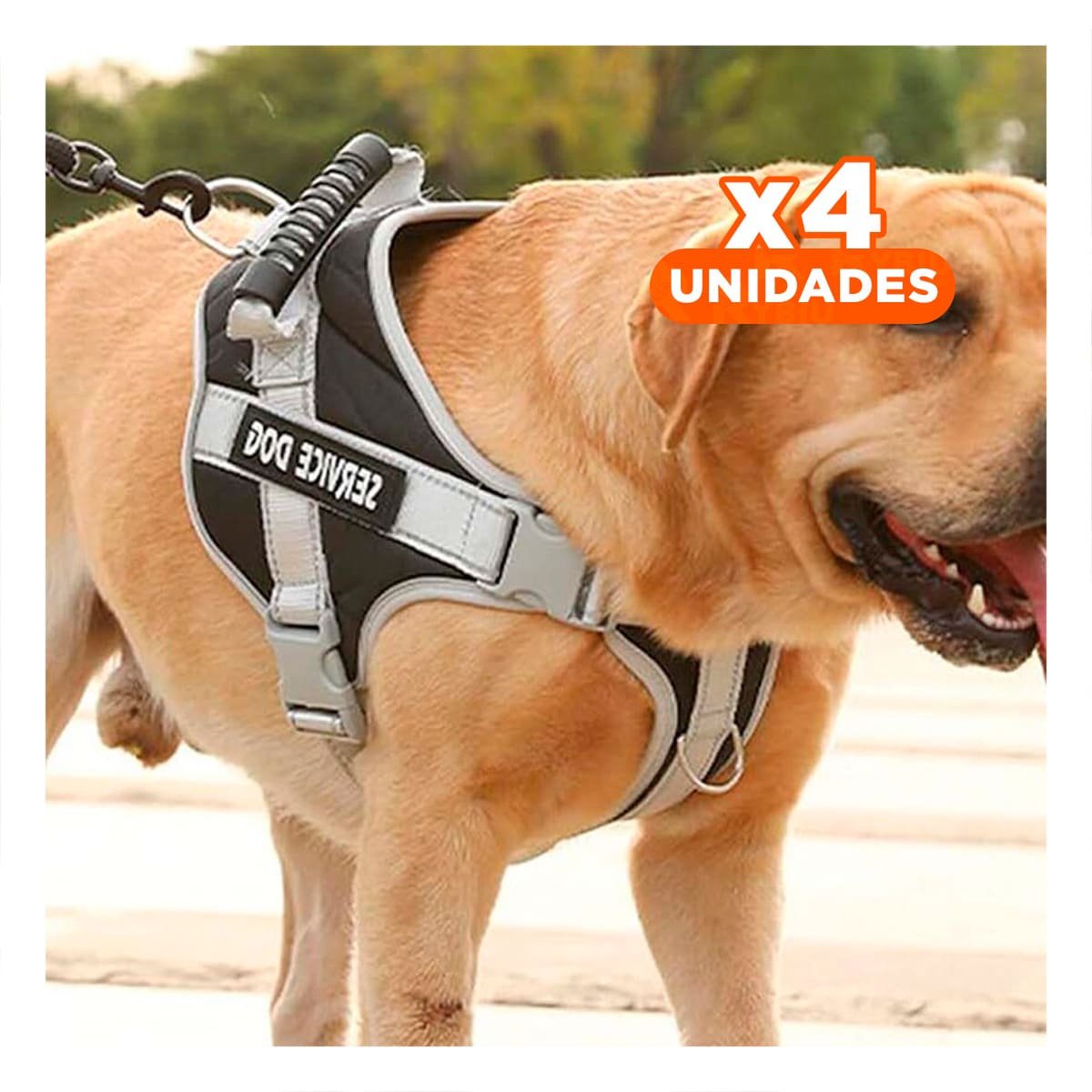 PACK4 PECHERA RESISTENTE SERVICE DOG TALLA XS NEGRO CON ASA - 1