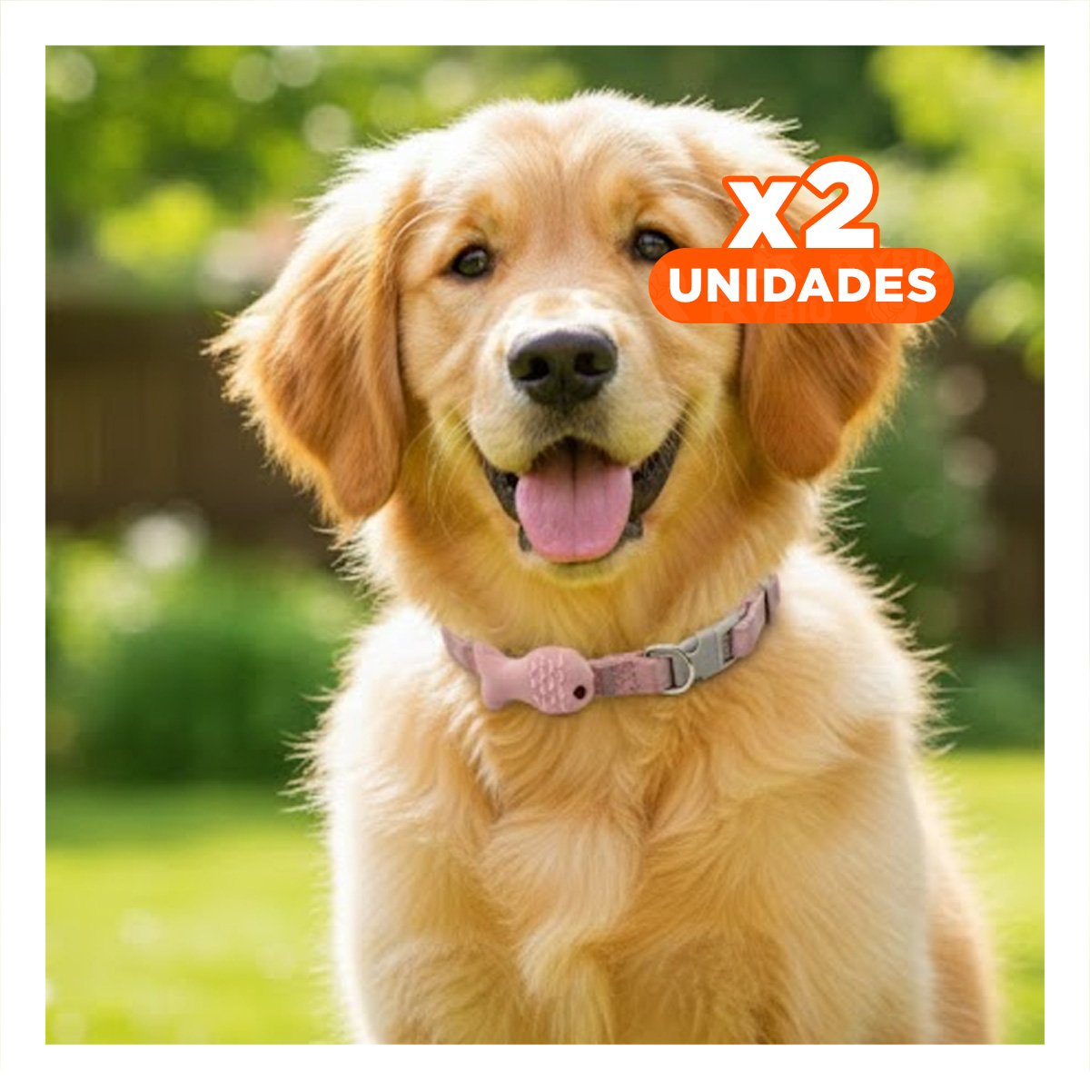 PACK2 COLLARIN LIGERO MODELO PEZ ROSADO PARA MASCOTA Y+REGALO STICKER - 1