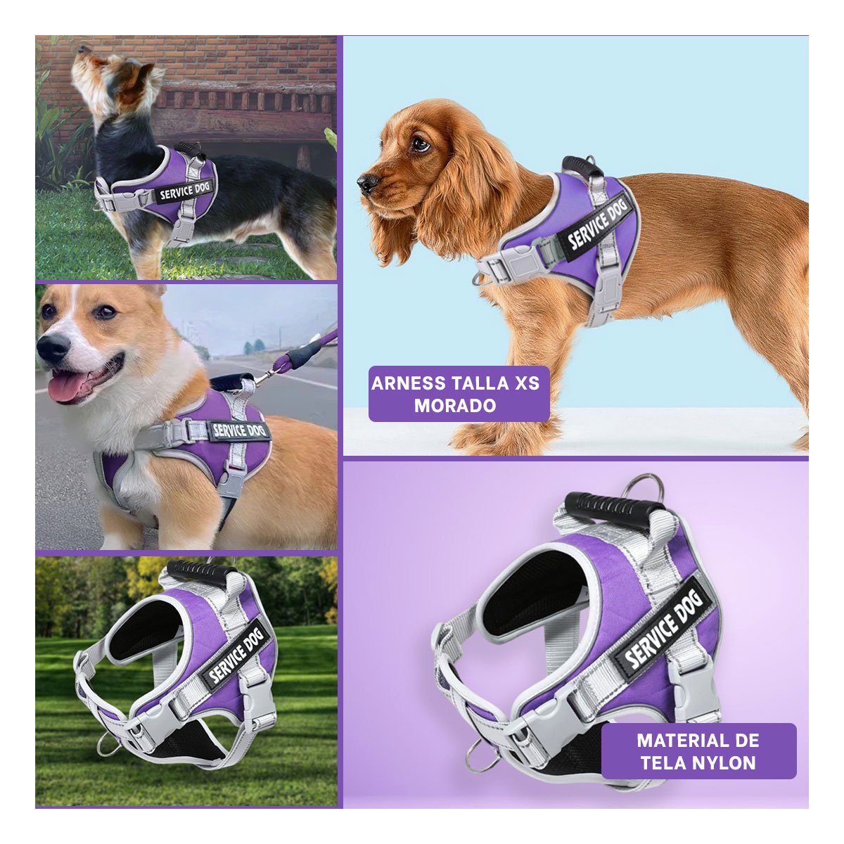 PACK4 CHALECO RESISTENTE SERVICE DOG TALLA XS MORADO CON ASA Y+REGALO STICKER - 2