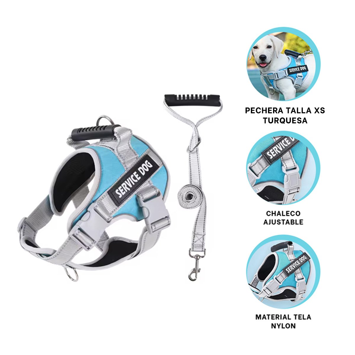 CHALECO PROFESIONAL SERVICE DOG TALLA XS TURQUEZA CON ASA - 3