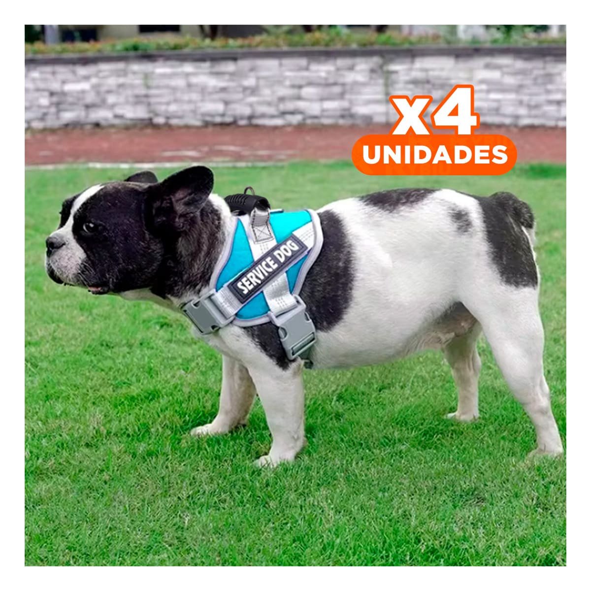 PACK4 PECHERA RESISTENTE SERVICE DOG TALLA XS TURQUEZA CON ASA - 1