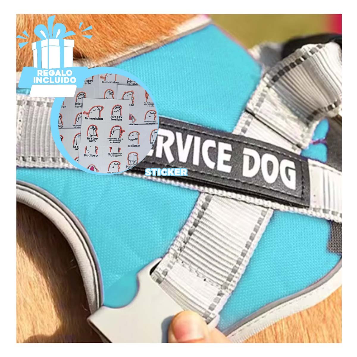 PETO PROFESIONAL SERVICE DOG TALLA XS TURQUEZA CON ASA Y+REGALO STICKER - 1