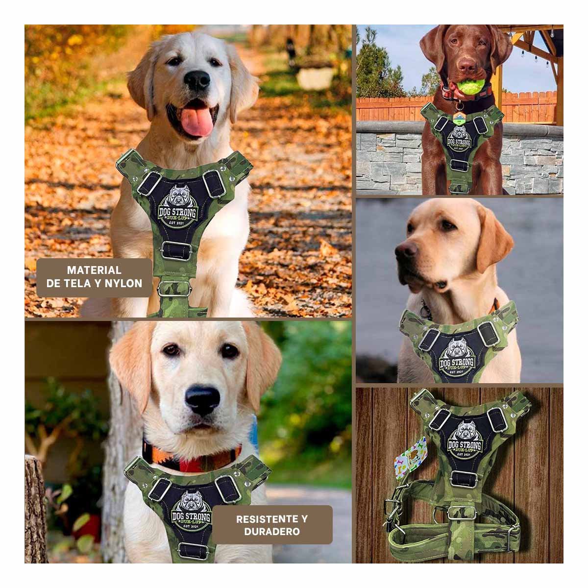 SOPORTE CANINO DOG STRONG VERDE OSCURO TALLA L CON DISENO DURABLE - 5