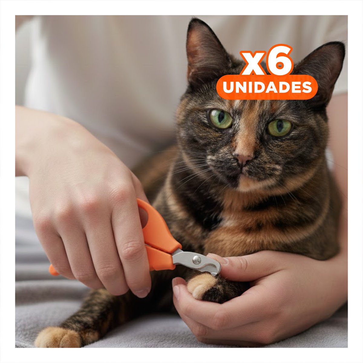 PACK6 CORTA UÑA ERGONOMICO PARA GATOS Y CACHORROS NARANJA Y+REGALO STICKER - 1