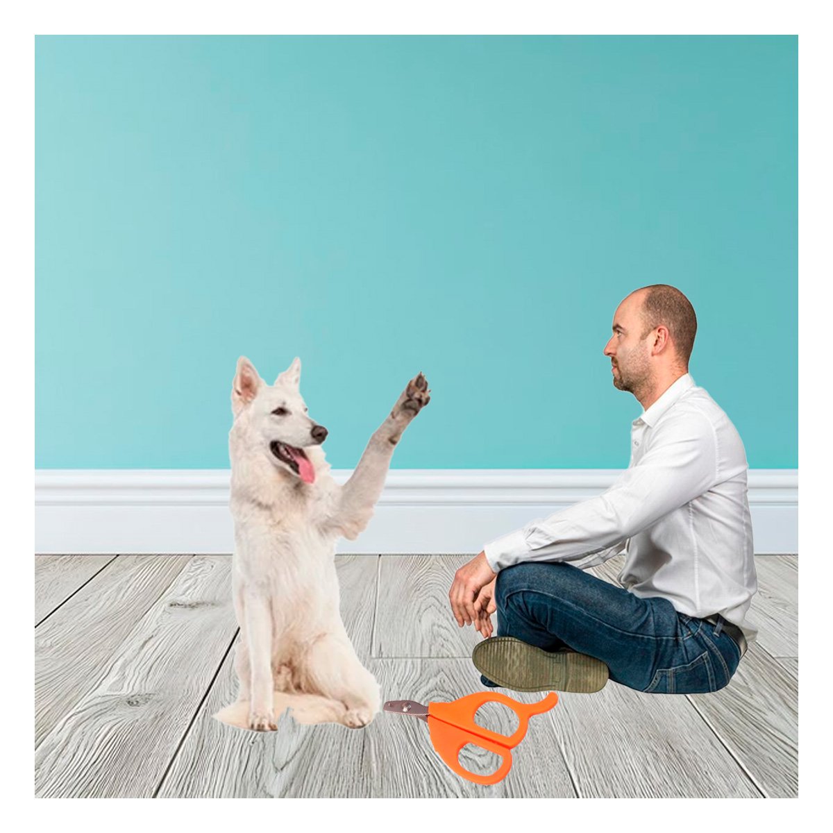 PACK6 CORTA UÑA ERGONOMICO PARA GATOS Y CACHORROS NARANJA Y+REGALO STICKER - 5