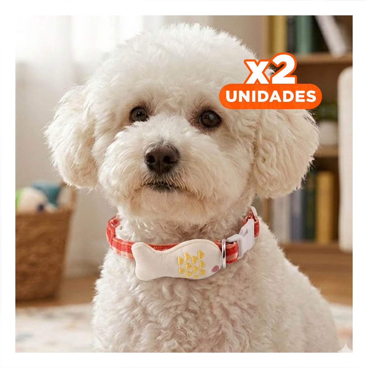 PACK2 COLLARIN LIGERO MODELO PEZ ROJO PARA MASCOTA Y+REGALO STICKER - 1
