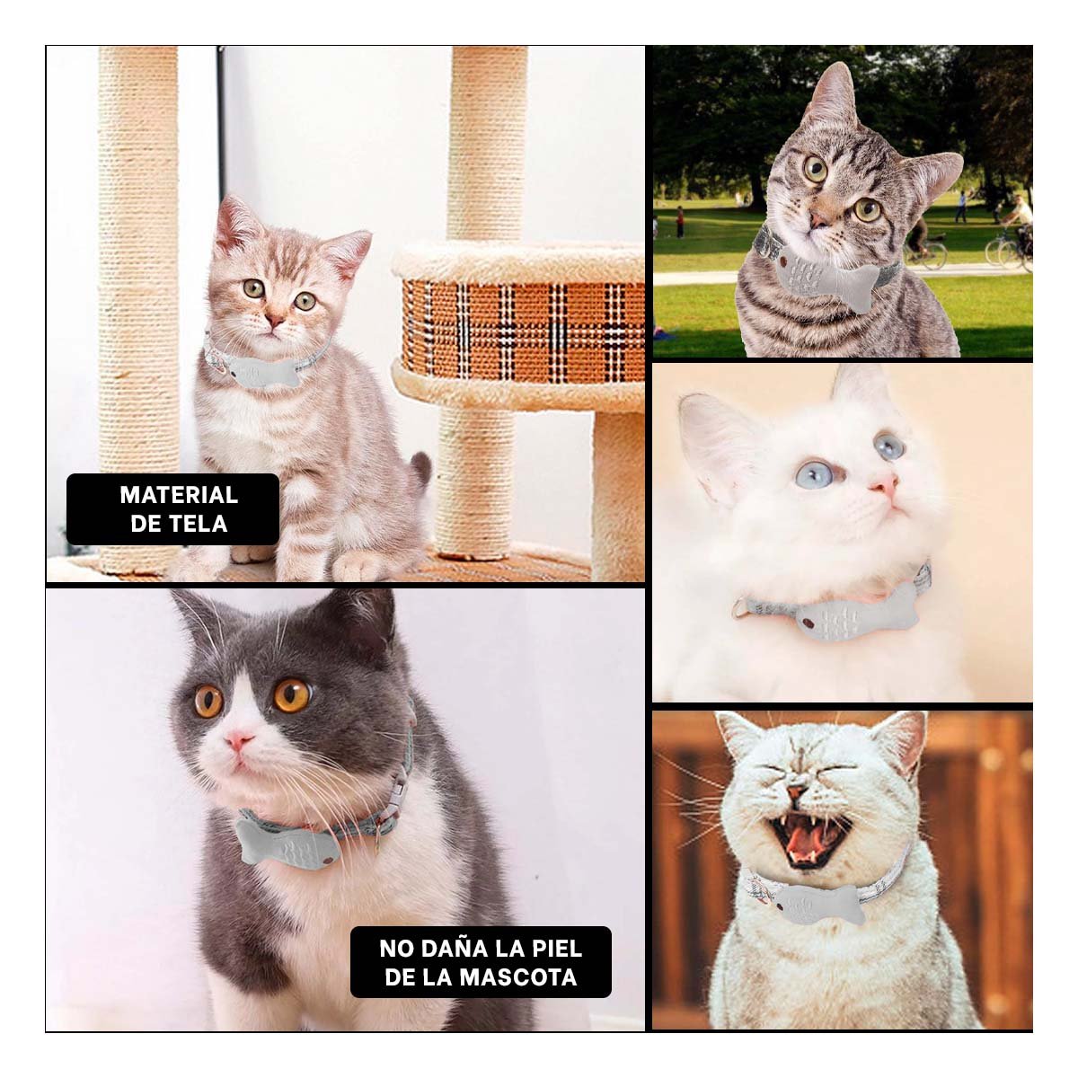 PACK4 CINTA COMODA MODELO PEZ GRIS PARA MASCOTA Y+REGALO STICKER - 2