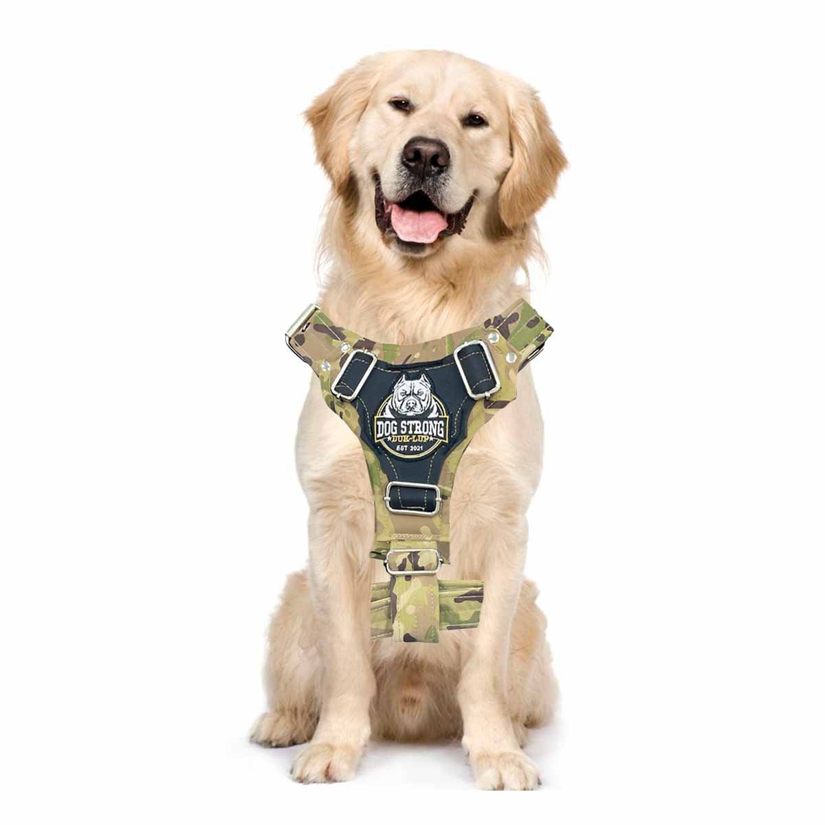 ARNES PARA PERRO DOG STRONG VERDE CLARO TALLA L CON AJUSTE SEGURO Y+REGALO STICKER - 3