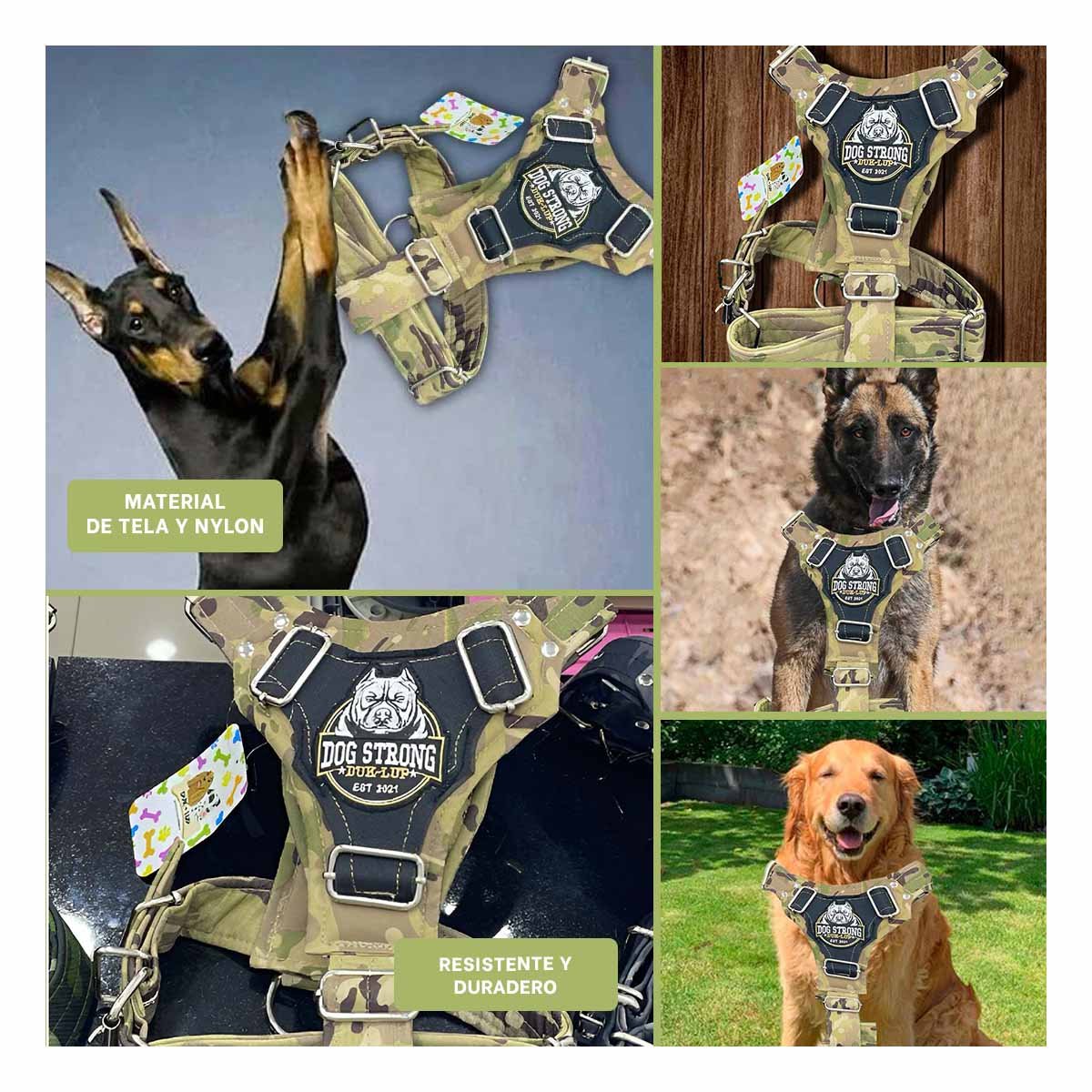 PECHERA RESISTENTE DOG STRONG VERDE CLARO TALLA L PARA USO DIARIO Y+POST IT - 5