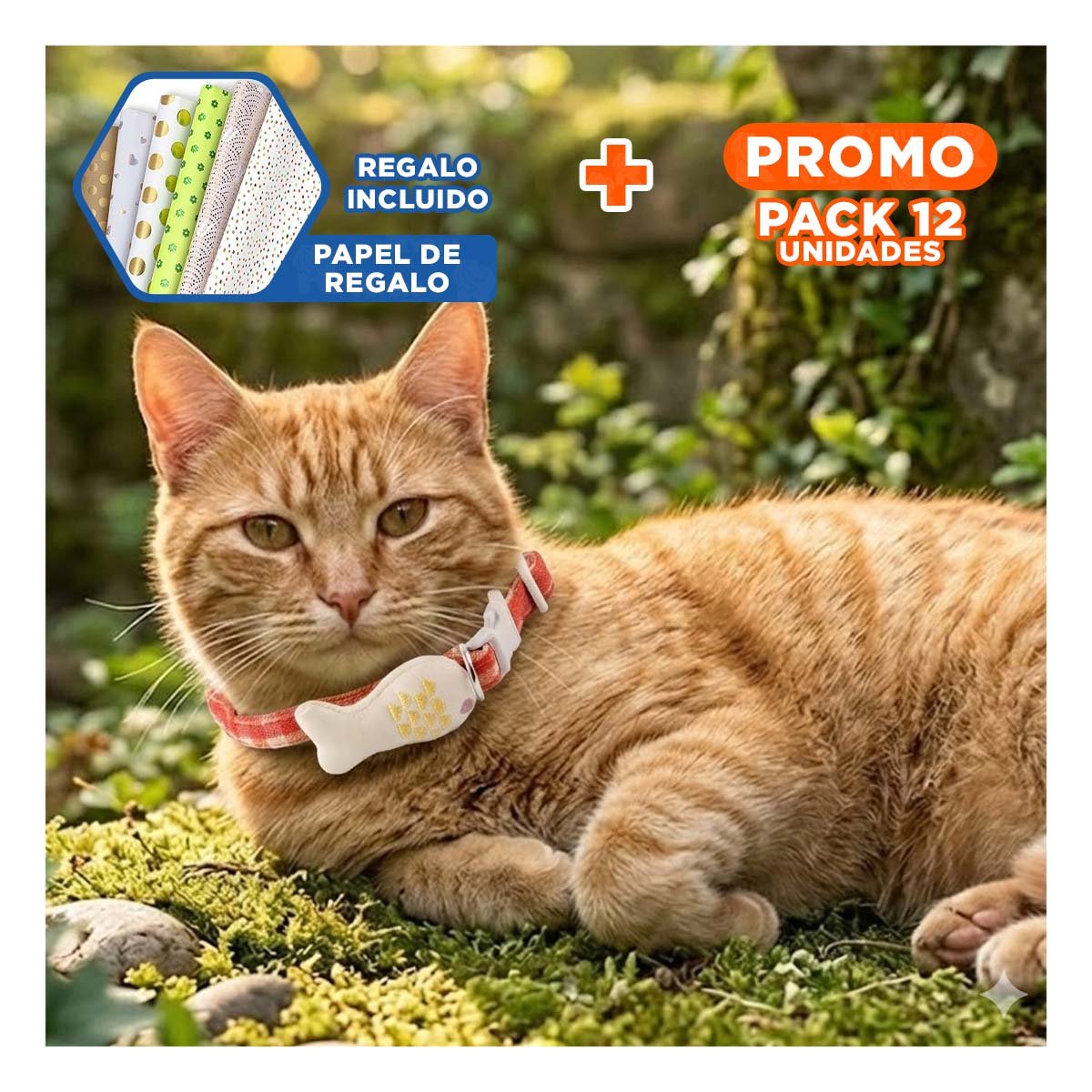 PACK12 CINTA RESISTENTE MODELO PEZ ROJO PARA MASCOTA Y+PAPEL REGALO - 1