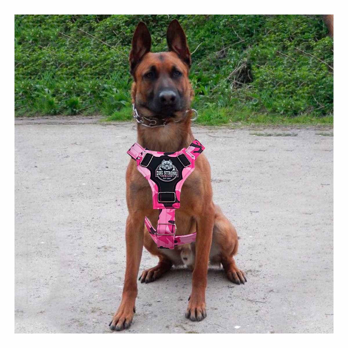 PACK2 SOPORTE PARA PERRO DOG STRONG ROSADO TALLA M SEGURO Y COMODO - 5