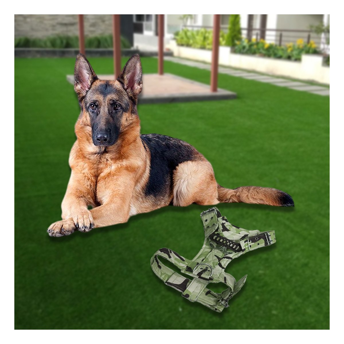 PACK4 PECHERA AJUSTABLE DOG STRONG VERDE OSCURO TALLA S COMODA Y FIRME Y+PAPEL REGALO - 2