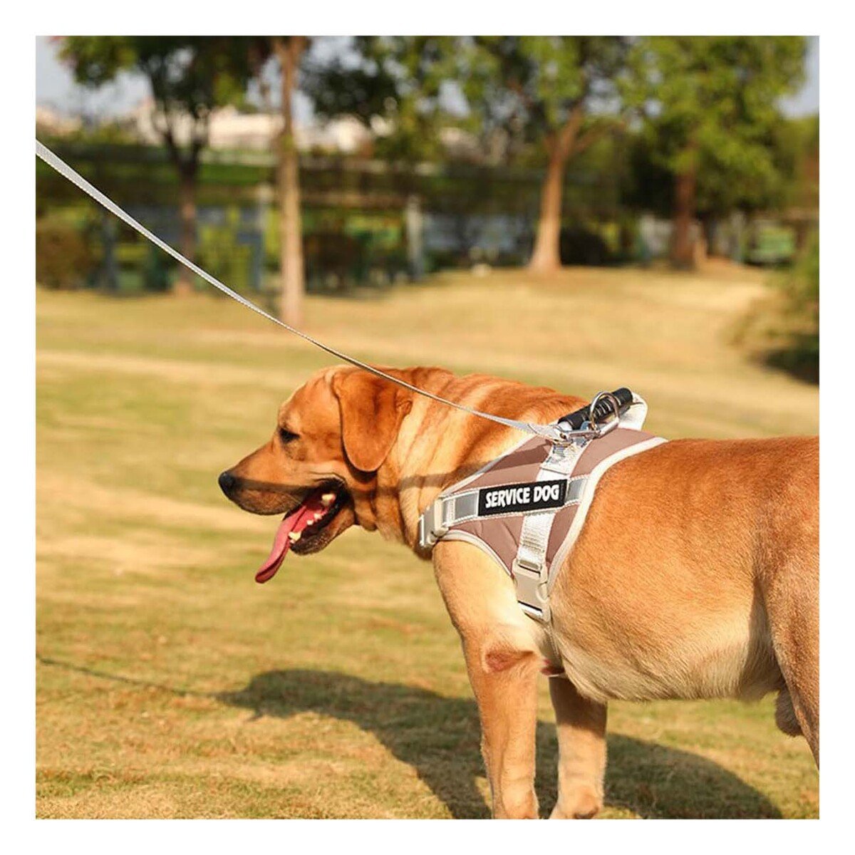 PACK4 CHALECO RESISTENTE SERVICE DOG TALLA XS MARRON CON ASA Y+REGALO STICKER - 5